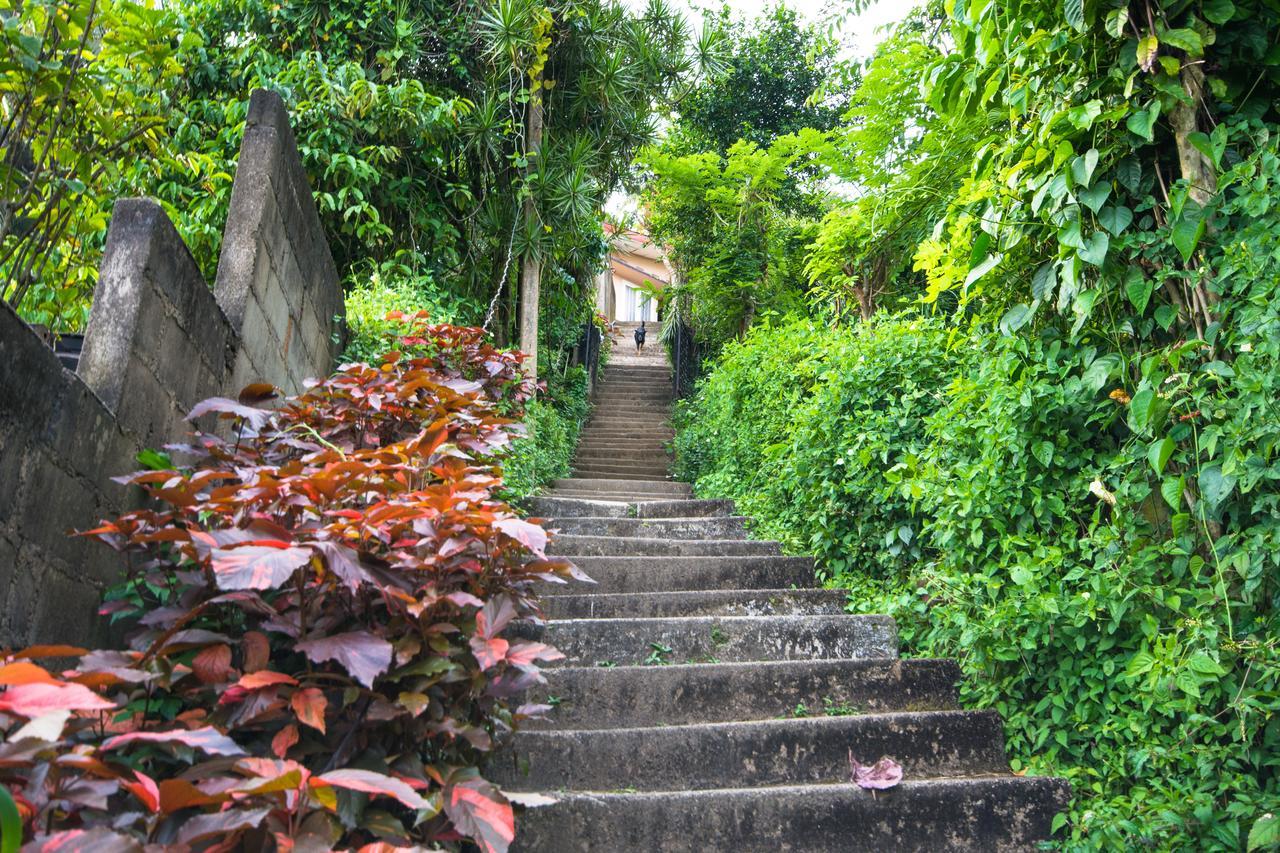 Udawatta Kele Kandy Exterior foto