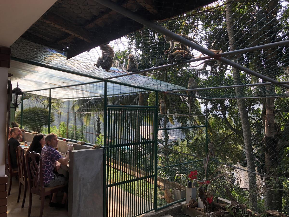 Udawatta Kele Kandy Exterior foto